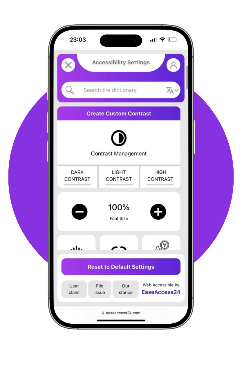  EaseAccess24 mobile accessibility widget displaying contrast and font size controls on a smartphone screen.